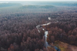 Rzeka Blizna - dopływ Rospudy